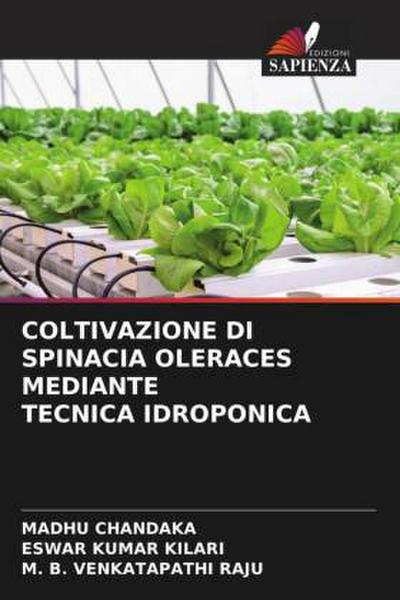 COLTIVAZIONE DI SPINACIA OLERACES MEDIANTE TECNICA IDROPONICA