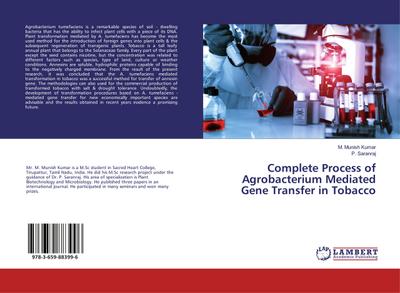 Complete Process of Agrobacterium Mediated Gene Transfer in Tobacco