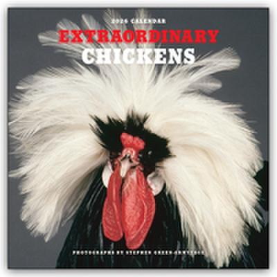 Extraordinary Chickens - Außergewöhnliche Hühner 2026 - Wandkalender - Original Harry N. Abrams Kalender [Mehrsprachig] [Kalender]