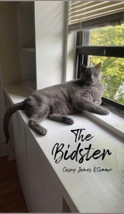 The Bidster