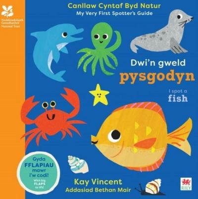 Dwi’n Gweld Pysgodyn / I Spot a Fish