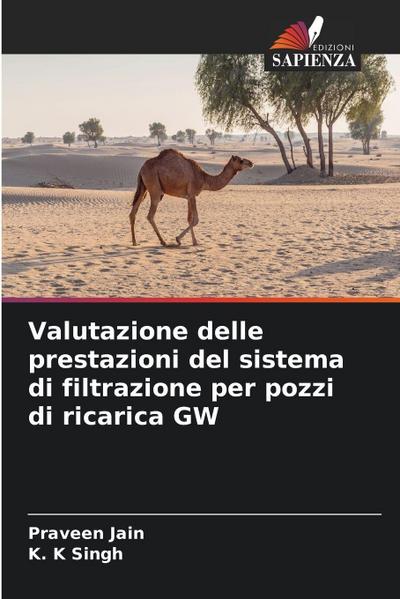 Valutazione delle prestazioni del sistema di filtrazione per pozzi di ricarica GW