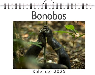 Neumann, T: Bonobos