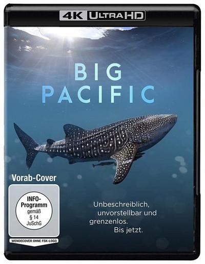 Big Pacific