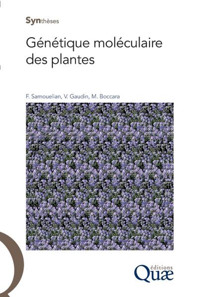 Génétique moléculaire des plantes