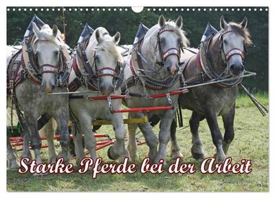 Starke Pferde bei der Arbeit (Wandkalender 2024 DIN A3 quer), CALVENDO Monatskalender