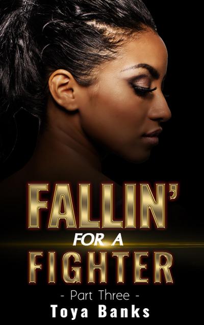 Fallin’ For A Fighter 3 (Fallin’ For Love, #3)
