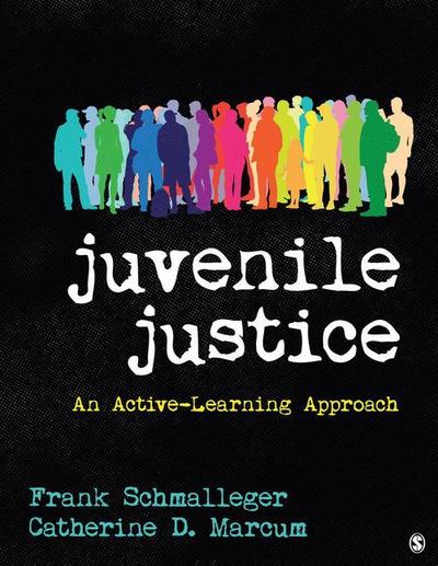 Juvenile Justice: An Active-Learning Approach