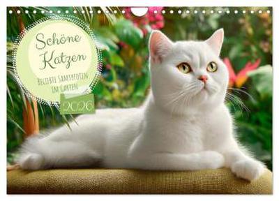 Schöne Katzen. Beliebte Samtpfoten im Garten (Wandkalender 2026 DIN A4 quer), CALVENDO Monatskalender