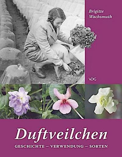 Duftveilchen