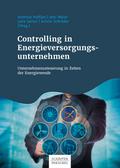 Controlling in Energieversorgungsunternehmen
