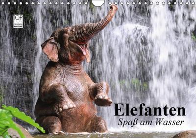 Elefanten. Spaß am Wasser (Wandkalender 2019 DIN A4 quer): Elefanten Babys beim Baden in Thailand (Geburtstagskalender, 14 Seiten ) (CALVENDO Tiere)