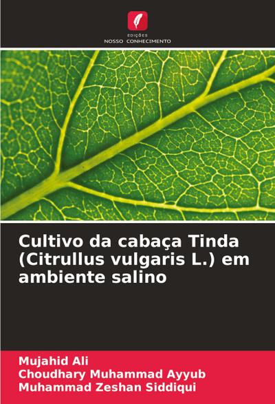 Cultivo da cabaça Tinda (Citrullus vulgaris L.) em ambiente salino