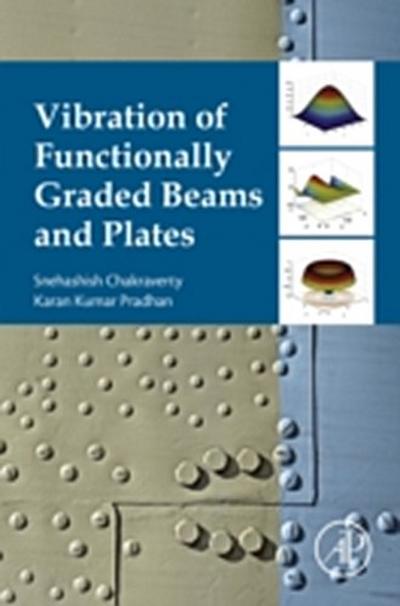 Vibration of Functionally Graded Beams and Plates