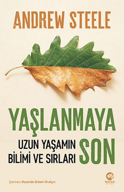 Yaslanmaya Son