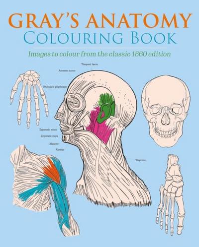 Gray’s Anatomy Colouring Book