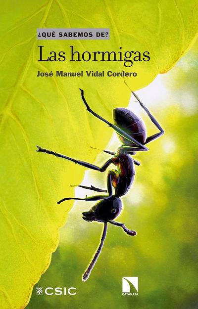 Las hormigas