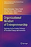 Organizational Mindset of Entrepreneurship
