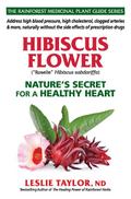 Hibiscus Flower