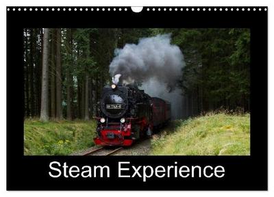 Steam Experience (Wall Calendar 2027 DIN A3 landscape), CALVENDO 12 Month Wall Calendar