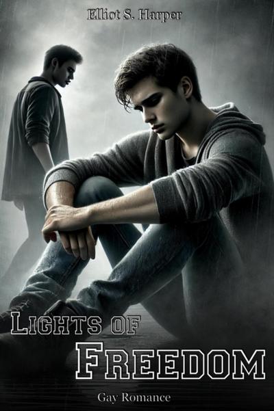 Lights of Freedom: Gay Romance