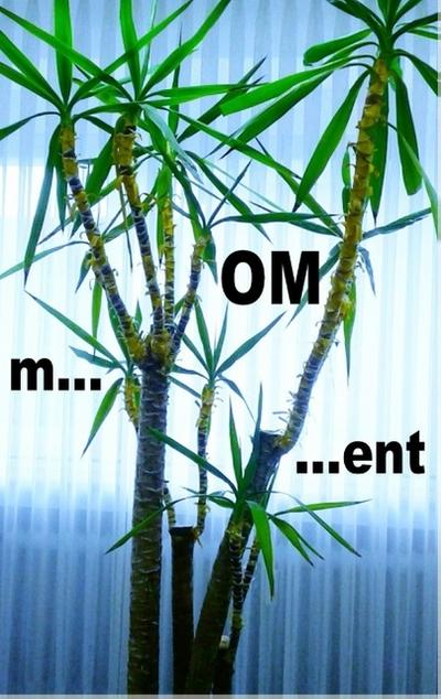 m...OM...ent