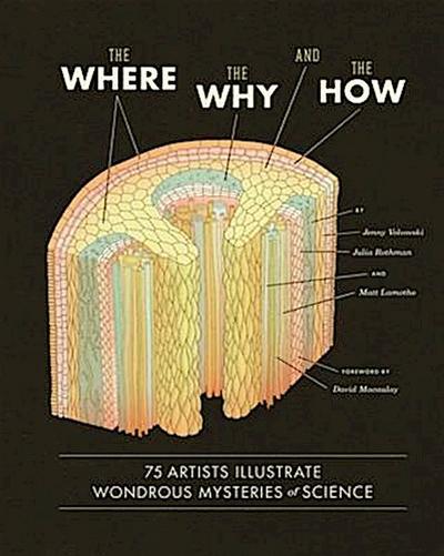 Where, the Why, and the How