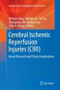 Cerebral Ischemic Reperfusion Injuries (CIRI)