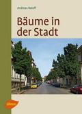 Bäume in der Stadt