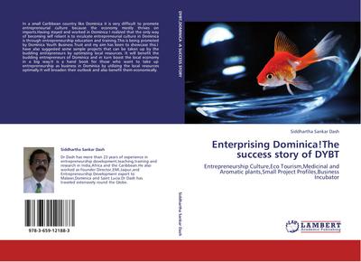 Enterprising Dominica!The success story of DYBT