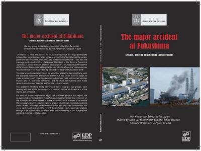 The Major Accident at Fukushima