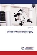 Endodontic microsurgery