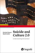 Suicide and Culture 2.0