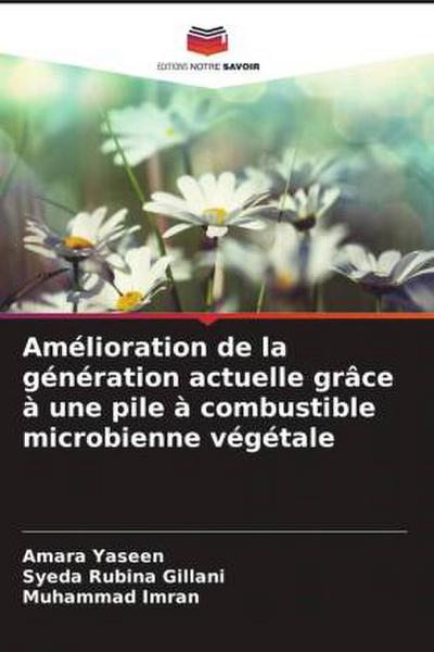 Amélioration de la génération actuelle grâce à une pile à combustible microbienne végétale
