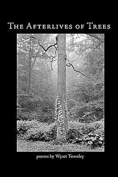 The Afterlives of Trees