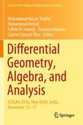Differential Geometry, Algebra, and Analysis