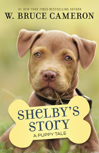 Shelby’s Story