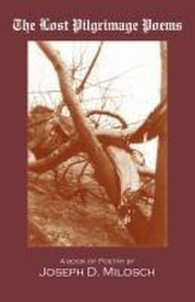 The Lost Pilgrimage Poems