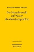 Das Menschenrecht auf Wasser als Allokationsproble