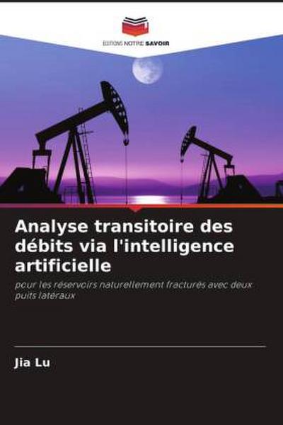 Analyse transitoire des débits via l’intelligence artificielle