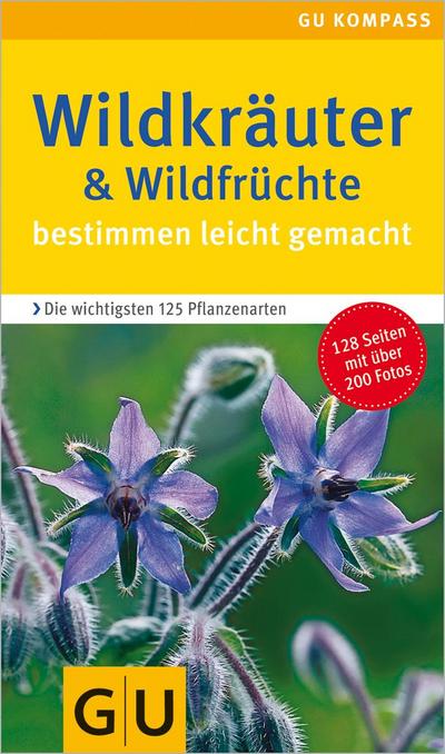 Wildkräuter. Wildfrüchte