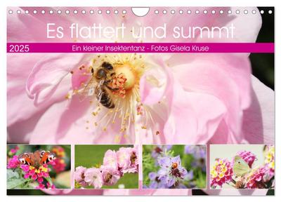 The Practice of True Devotion