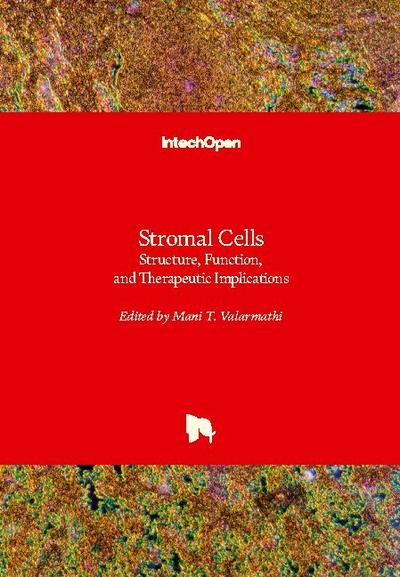 Stromal Cells