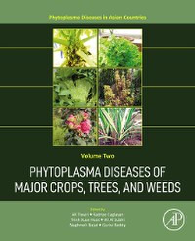 Phytoplasma Diseases of Major Crops, Trees, and Weeds