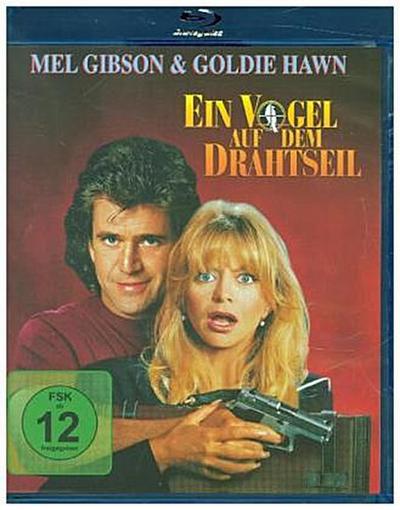 Ein Vogel auf dem Drahtseil