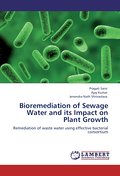 Bioremediation of Sewage Water and its Impact on Plant Growth