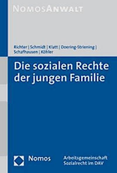 Die sozialen Rechte der jungen Familie