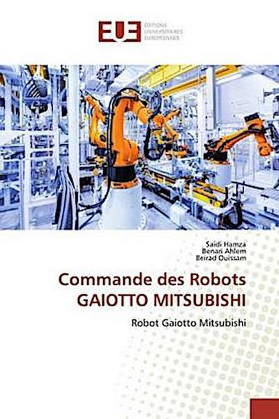 Commande des Robots GAIOTTO MITSUBISHI