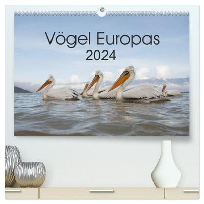 Vögel Europas 2024 (hochwertiger Premium Wandkalender 2024 DIN A2 quer), Kunstdruck in Hochglanz