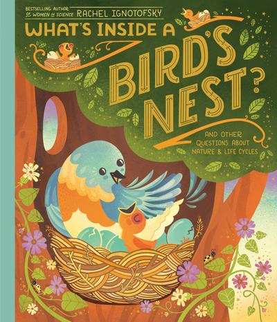 What’s Inside A Bird’s Nest?